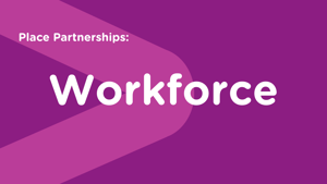 Place Partnership: Workforce