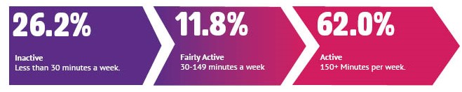 26.2% inactive. 11.8% fairly active, 62.0% active