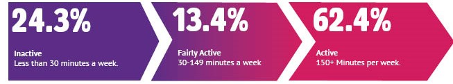 24.3% inactive, 13.4% fairly active, 62.4% active