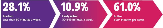 28.1% inactive, 10.9% fairly active, 61.0% active