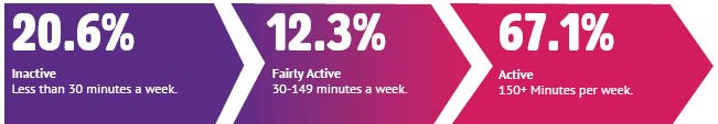 20.6% inactive, 12.3% fairly active, 67.1% active