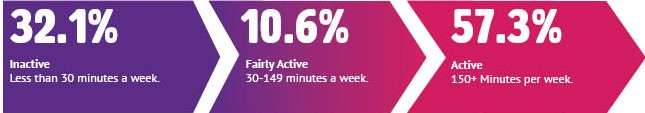 31.2% inactive, 10.6% fairly active, 57.3% active