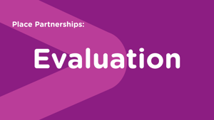 Place Partnership: Evaluation